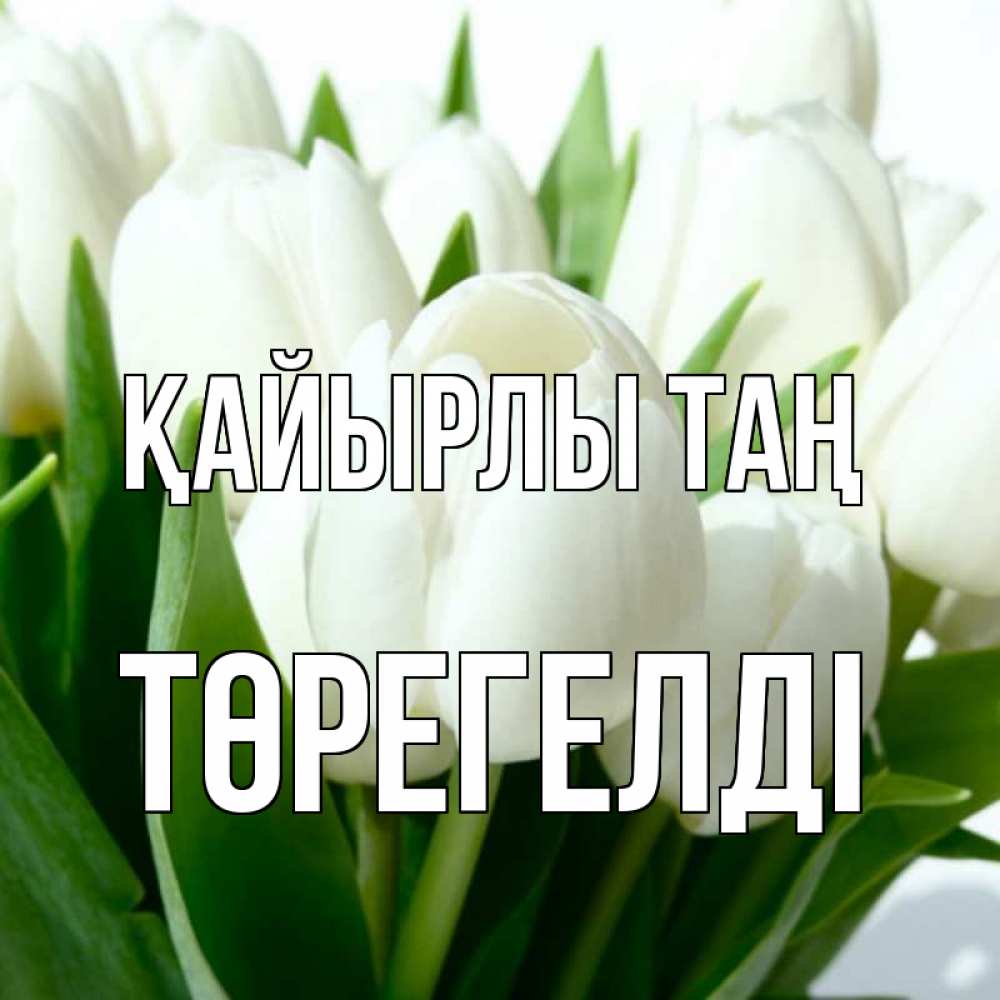 Күн сайын ашық хат с именем, Төрегелді Қайырлы таң открытки на каждый день по именам Онлайн тегін жүктеп алу тілектері бар керемет карта 