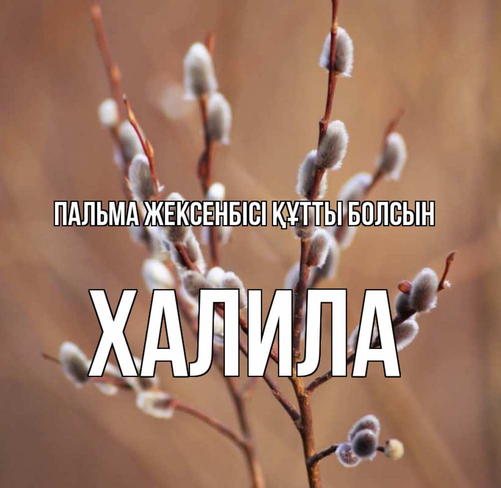 Күн сайын ашық хат с именем, ХАЛИЛА Пальма жексенбісі құтты болсын верба Онлайн тегін жүктеп алу тілектері бар керемет карта 