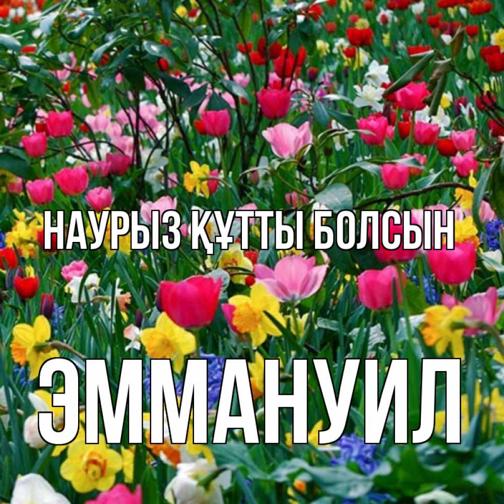 Күн сайын ашық хат с именем, Эммануил Наурыз құтты болсын с наурызом поздравления для женщины Онлайн тегін жүктеп алу тілектері бар керемет карта 
