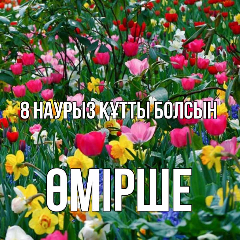 Күн сайын ашық хат с именем, ӨМІРШЕ 8 наурыз құтты болсын с международным женским днем поздравления для женщины Онлайн тегін жүктеп алу тілектері бар керемет карта 