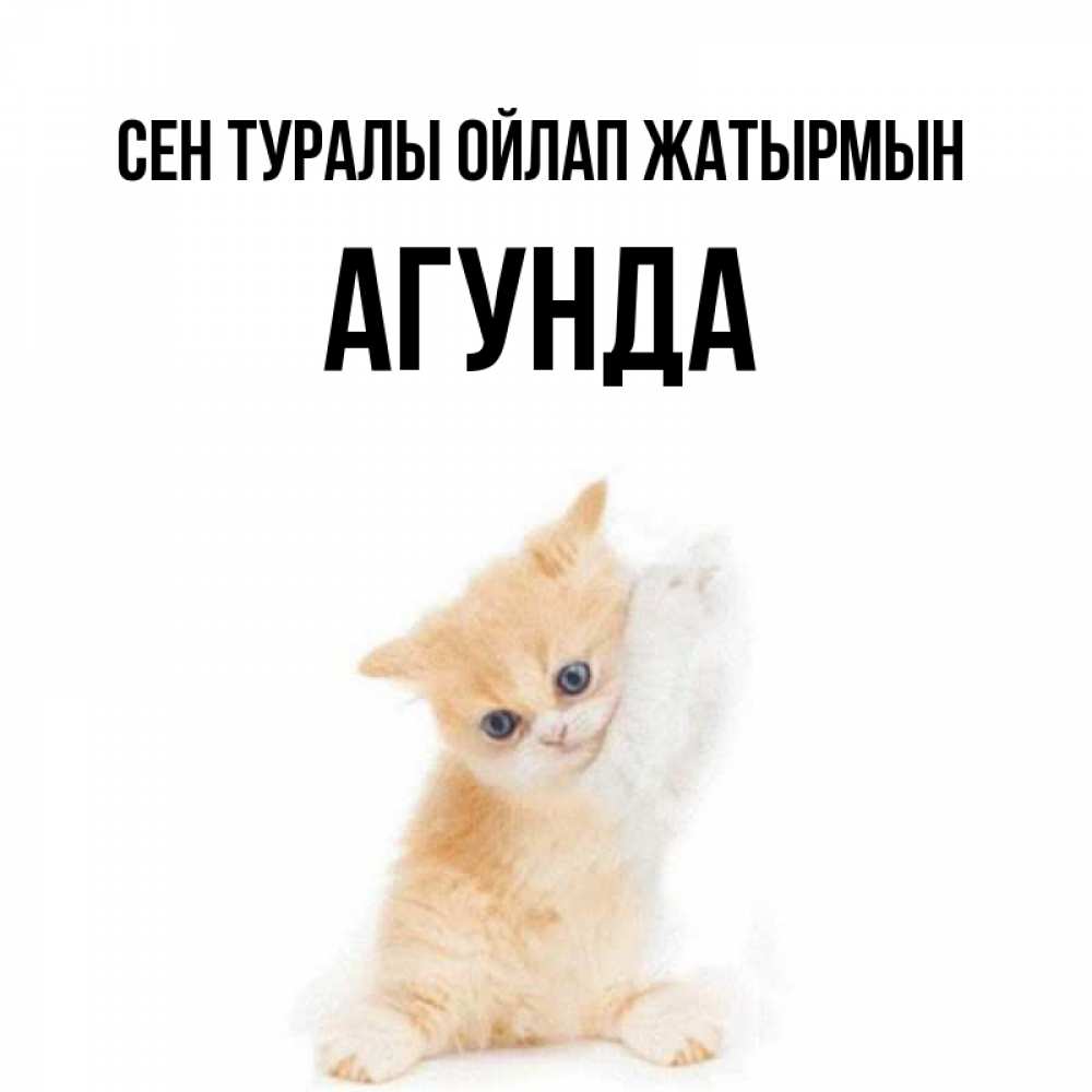 Күн сайын ашық хат с именем, Агунда Сен туралы ойлап жатырмын зверушки и милота Онлайн тегін жүктеп алу тілектері бар керемет карта 