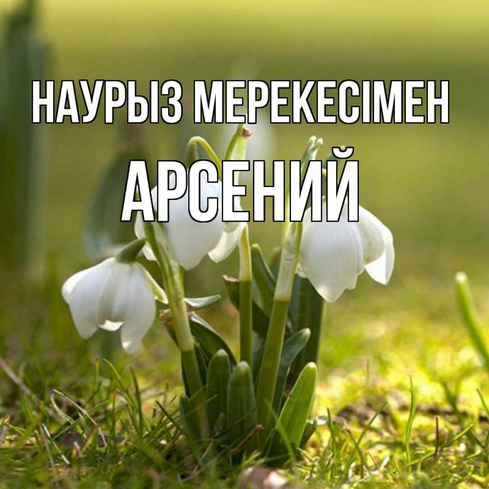 Күн сайын ашық хат с именем, Арсений Наурыз мерекесімен ранние цветы 2 Онлайн тегін жүктеп алу тілектері бар керемет карта 