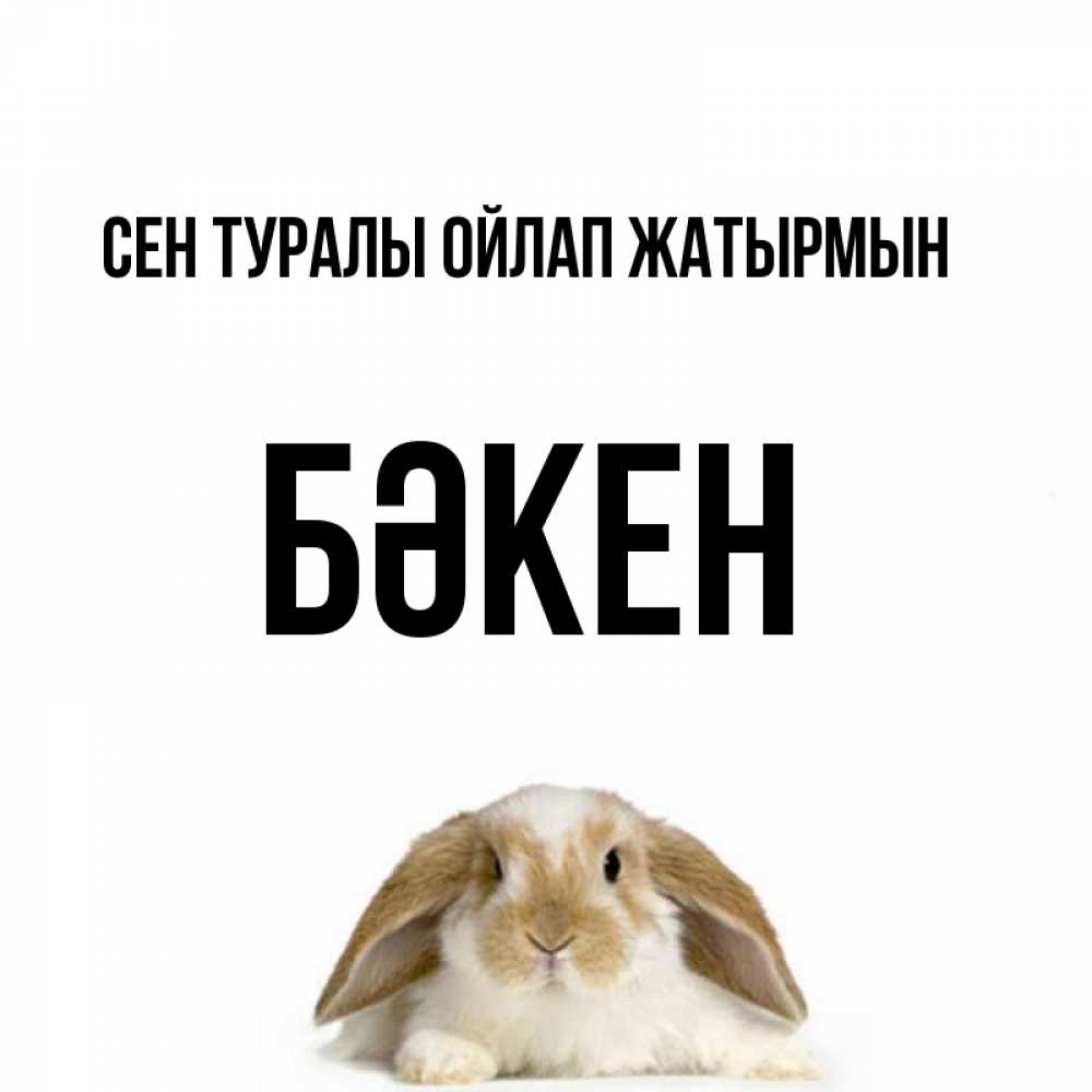 Күн сайын ашық хат с именем, Бәкен Сен туралы ойлап жатырмын подписать своими руками онлайн Онлайн тегін жүктеп алу тілектері бар керемет карта 