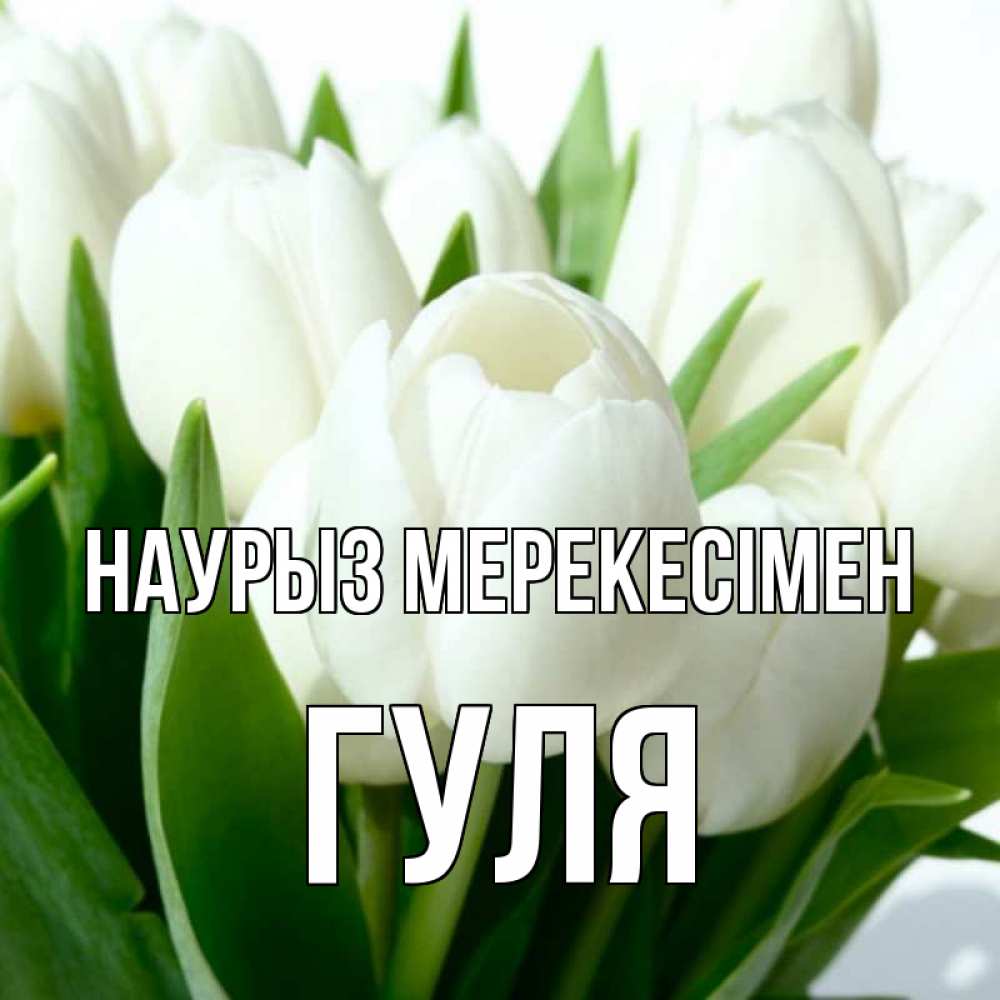 Күн сайын ашық хат с именем, Гуля Наурыз мерекесімен цветы Онлайн тегін жүктеп алу тілектері бар керемет карта 