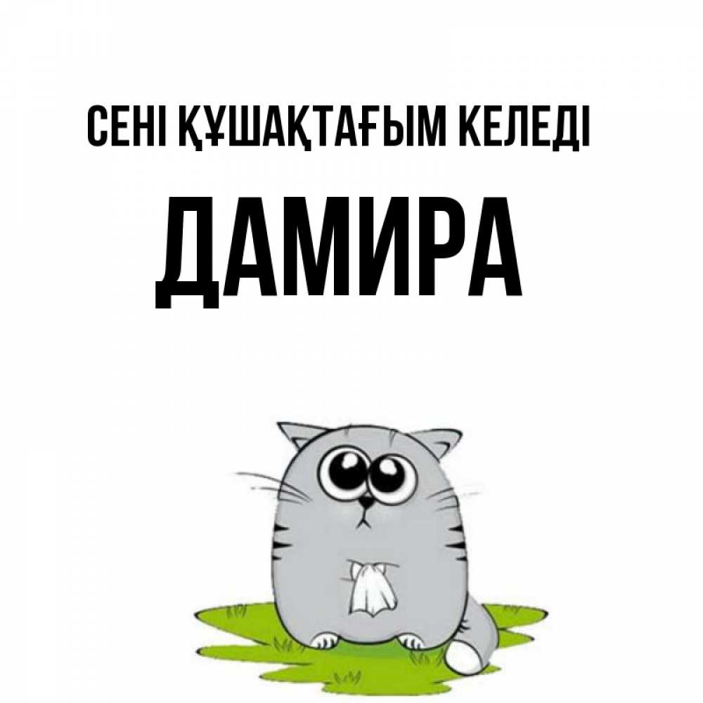 Күн сайын ашық хат с именем, ДАМИРА сені құшақтағым келеді котик теребит платочек сидя на травке Онлайн тегін жүктеп алу тілектері бар керемет карта 