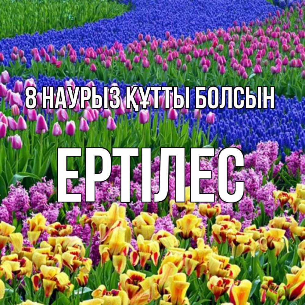 Күн сайын ашық хат с именем, Ертілес 8 наурыз құтты болсын цветы Онлайн тегін жүктеп алу тілектері бар керемет карта 