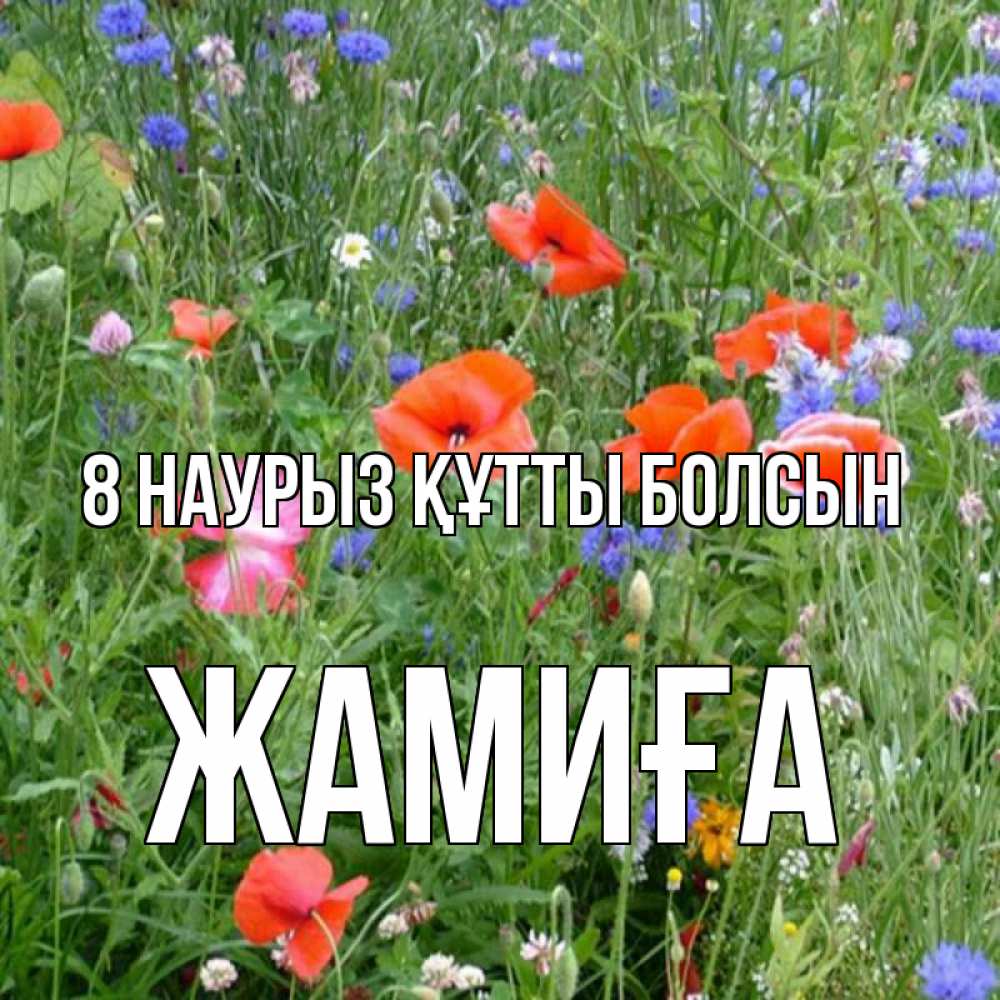 Күн сайын ашық хат с именем, ЖАМИҒА 8 наурыз құтты болсын международный женский день 4 Онлайн тегін жүктеп алу тілектері бар керемет карта 