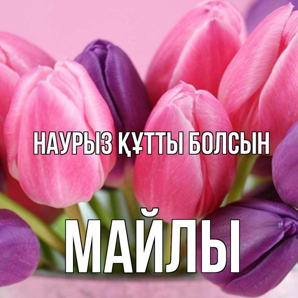 Күн сайын ашық хат с именем, МАЙЛЫ Наурыз құтты болсын маме 1 Онлайн тегін жүктеп алу тілектері бар керемет карта 