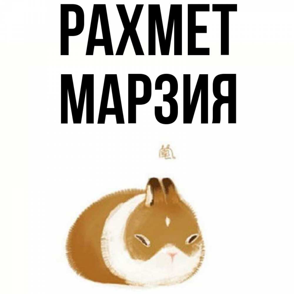 Күн сайын ашық хат с именем, МАРЗИЯ рахмет коричнево белый домашний питомец Онлайн тегін жүктеп алу тілектері бар керемет карта 