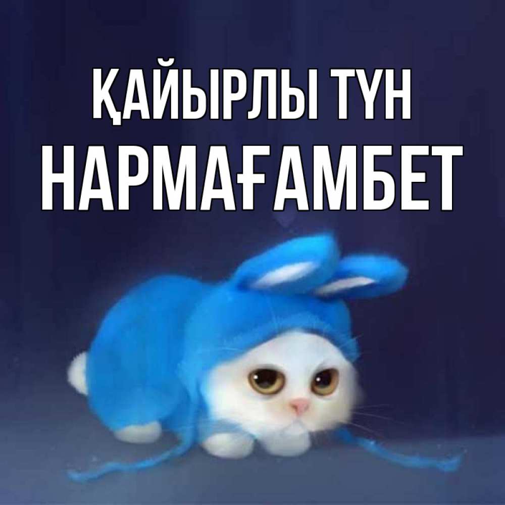Күн сайын ашық хат с именем, НАРМАҒАМБЕТ Қайырлы түн кот в голубом костюме кролика с ушками Онлайн тегін жүктеп алу тілектері бар керемет карта 