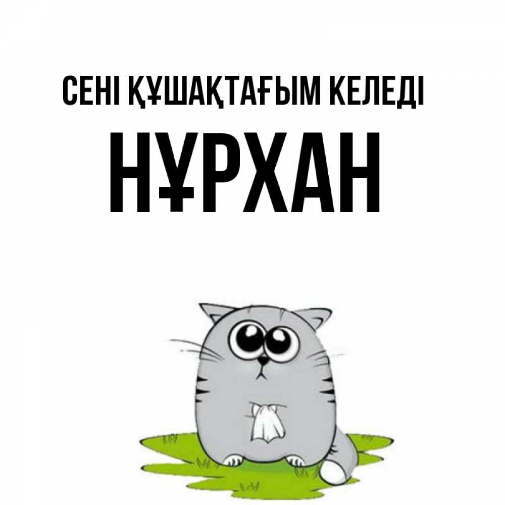 Күн сайын ашық хат с именем, НҰРХАН сені құшақтағым келеді котик теребит платочек сидя на травке Онлайн тегін жүктеп алу тілектері бар керемет карта 