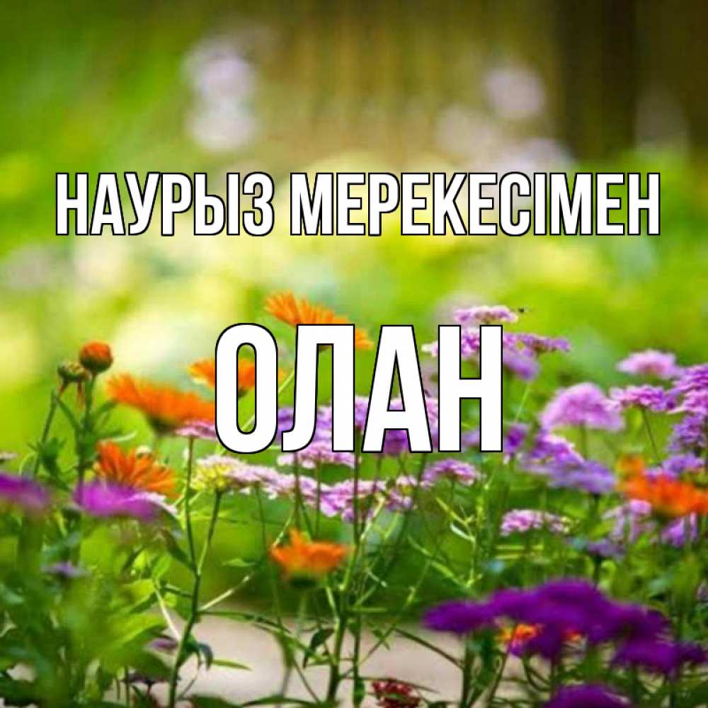 Күн сайын ашық хат с именем, Олан Наурыз мерекесімен цветы Онлайн тегін жүктеп алу тілектері бар керемет карта 