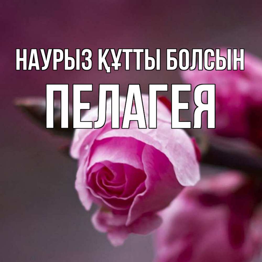 Күн сайын ашық хат с именем, Пелагея Наурыз құтты болсын весна Онлайн тегін жүктеп алу тілектері бар керемет карта 