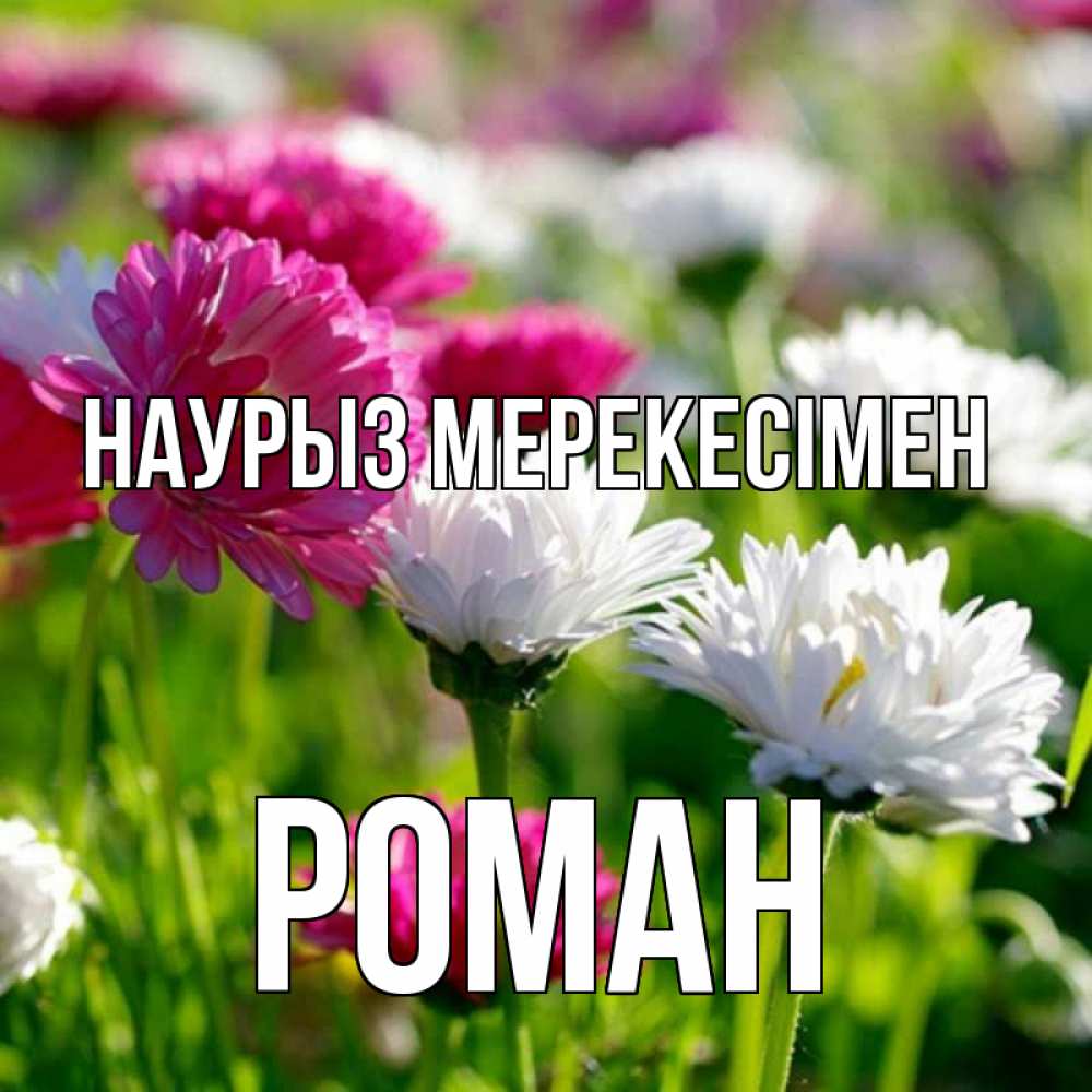Күн сайын ашық хат с именем, Роман Наурыз мерекесімен праздник весны наурыз красота Онлайн тегін жүктеп алу тілектері бар керемет карта 