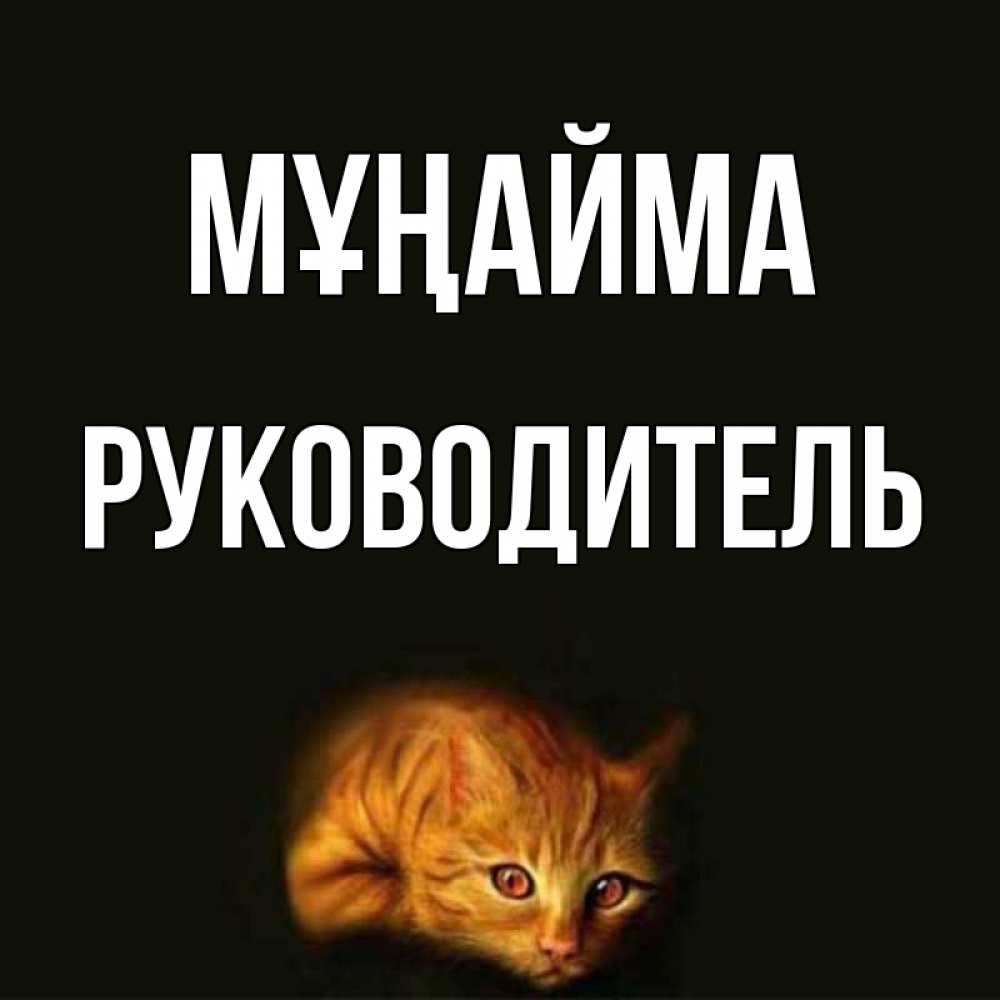 Күн сайын ашық хат с именем, Руководитель Мұңайма лежащий кот в темноте Онлайн тегін жүктеп алу тілектері бар керемет карта 