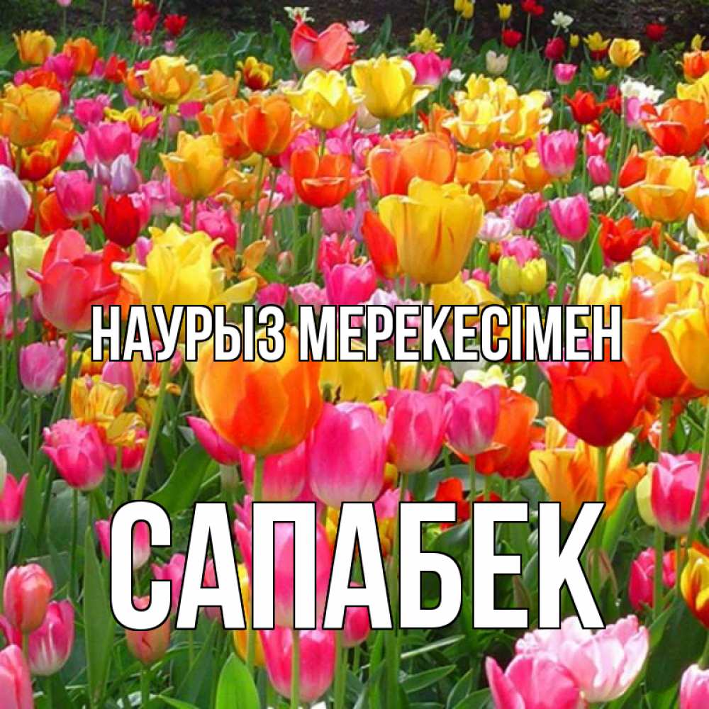 Күн сайын ашық хат с именем, САПАБЕК Наурыз мерекесімен праздник весны наурыз 4 Онлайн тегін жүктеп алу тілектері бар керемет карта 