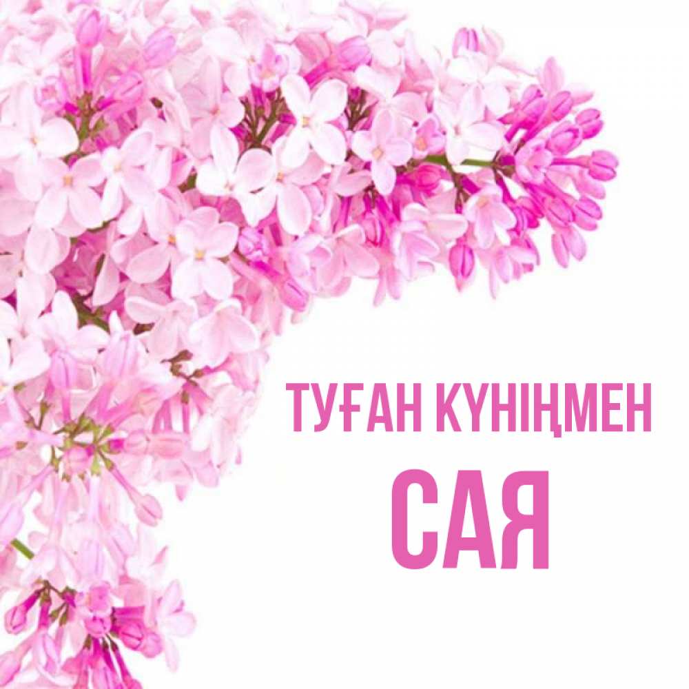 Күн сайын ашық хат с именем, САЯ Туған күніңмен Сирень на белом фоне Онлайн тегін жүктеп алу тілектері бар керемет карта 