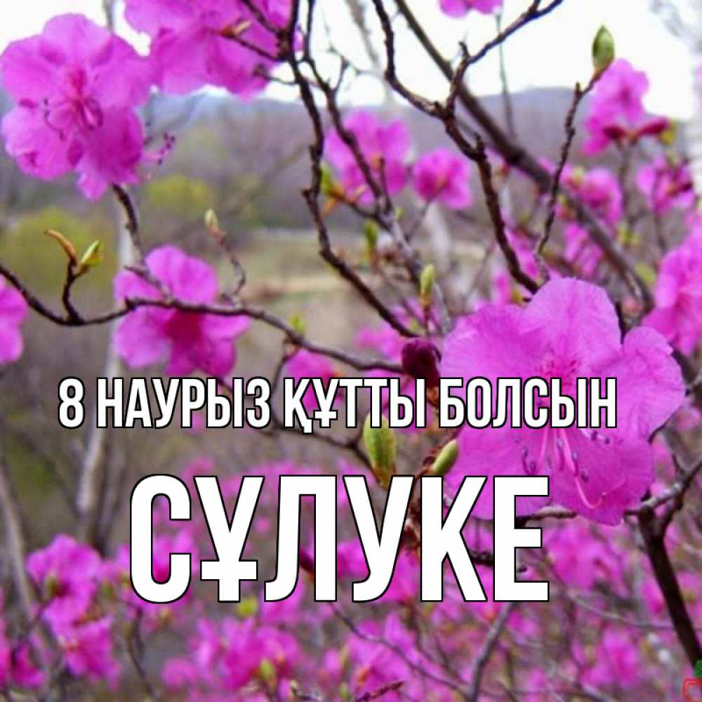 Күн сайын ашық хат с именем, СҰЛУКЕ 8 наурыз құтты болсын международный женский день Онлайн тегін жүктеп алу тілектері бар керемет карта 