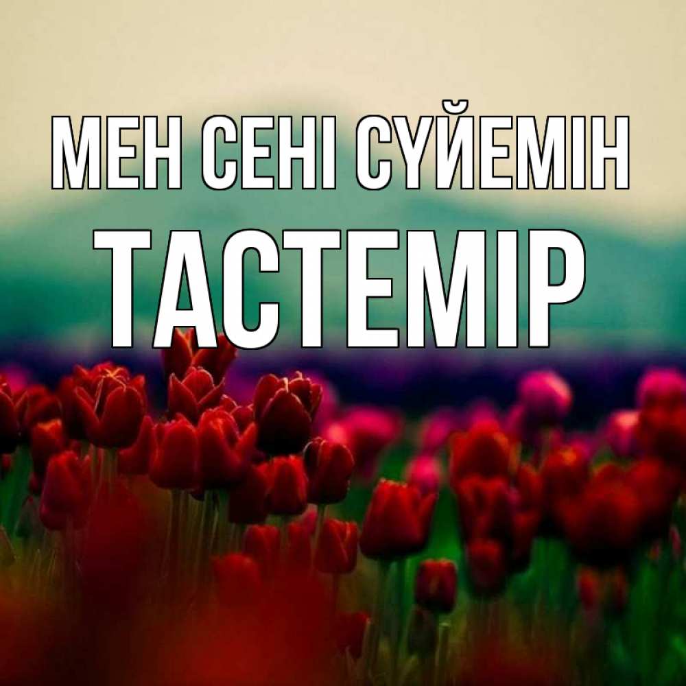 Күн сайын ашық хат с именем, ТАСТЕМІР Мен сені сүйемін тюльпаны 4 Онлайн тегін жүктеп алу тілектері бар керемет карта 