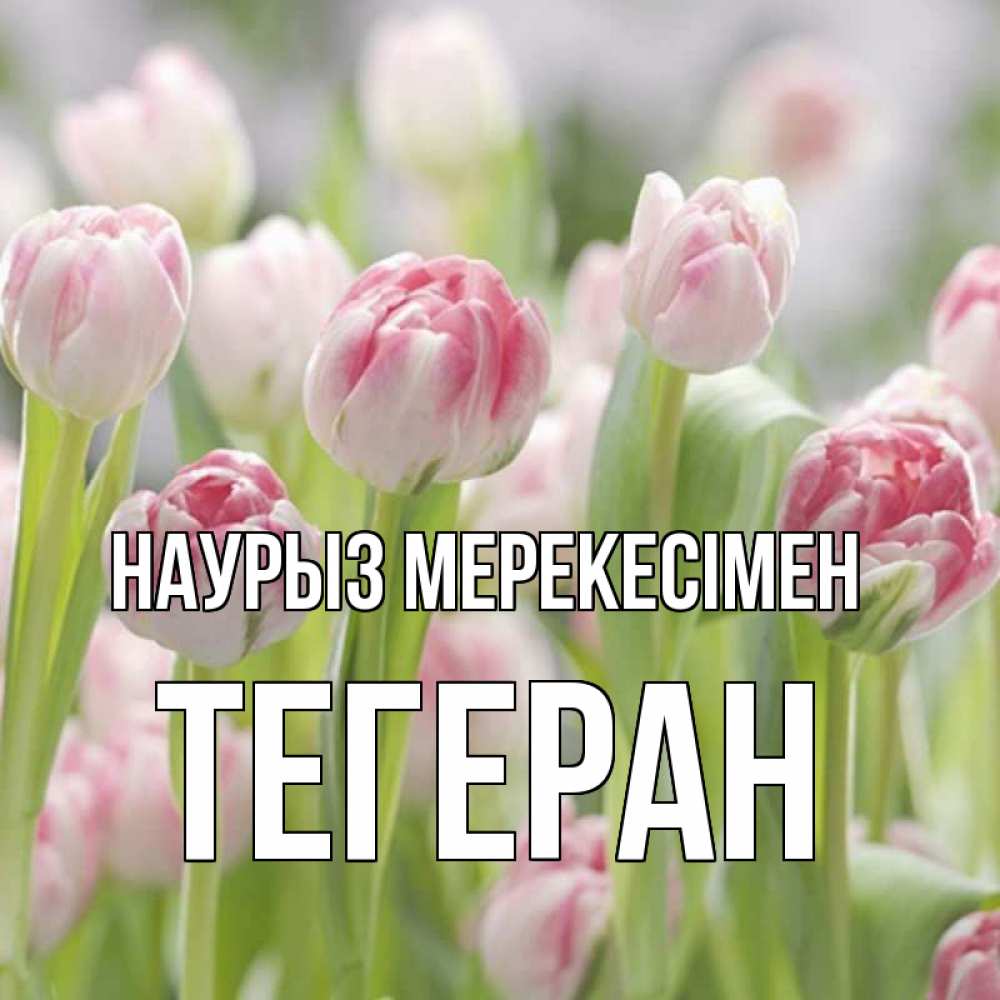 Күн сайын ашық хат с именем, ТЕГЕРАН Наурыз мерекесімен цветы Онлайн тегін жүктеп алу тілектері бар керемет карта 