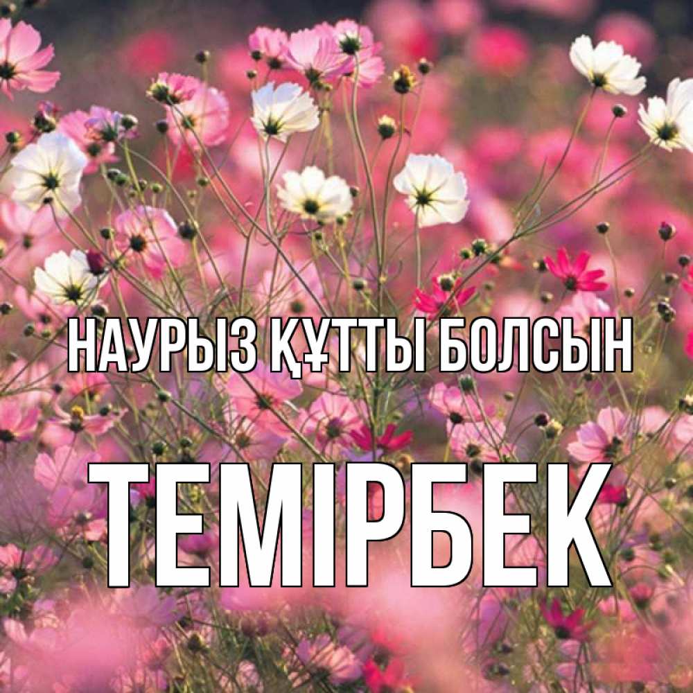 Күн сайын ашық хат с именем, ТЕМІРБЕК Наурыз құтты болсын красиво 1 Онлайн тегін жүктеп алу тілектері бар керемет карта 