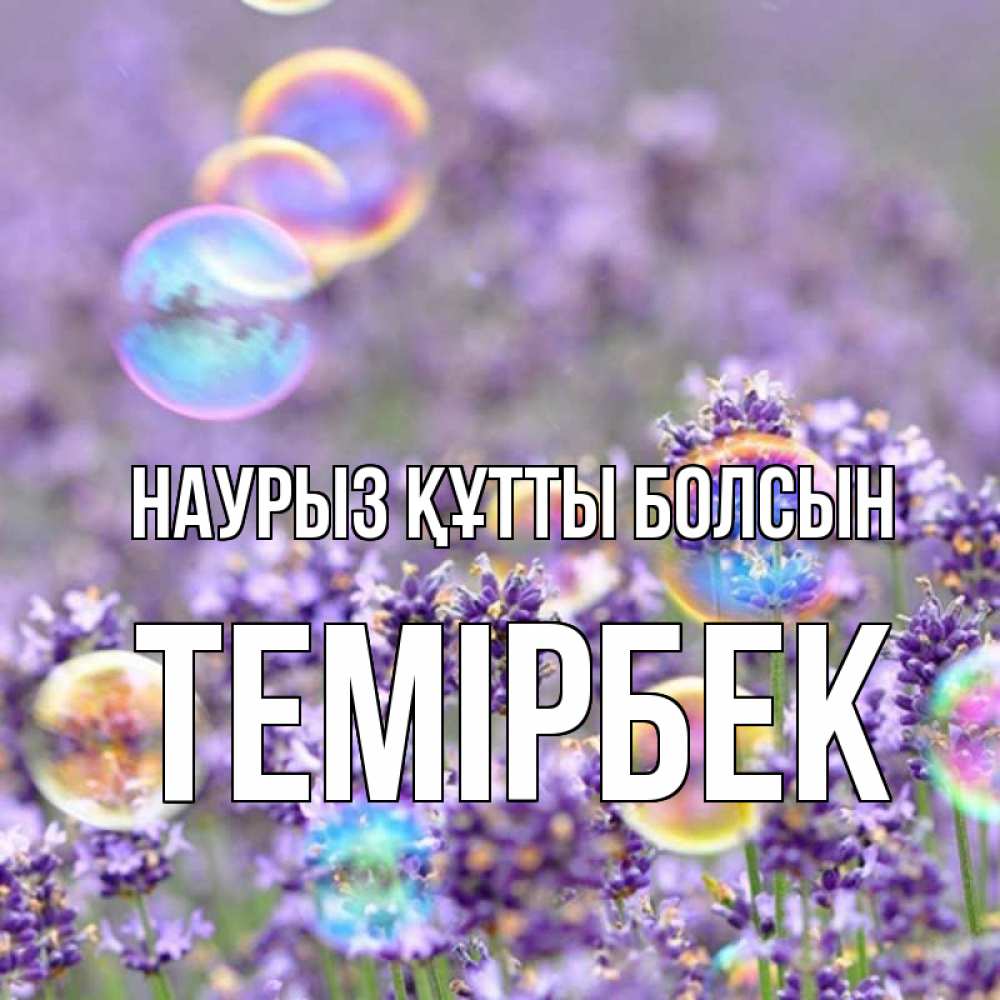 Күн сайын ашық хат с именем, ТЕМІРБЕК Наурыз құтты болсын цветы Онлайн тегін жүктеп алу тілектері бар керемет карта 