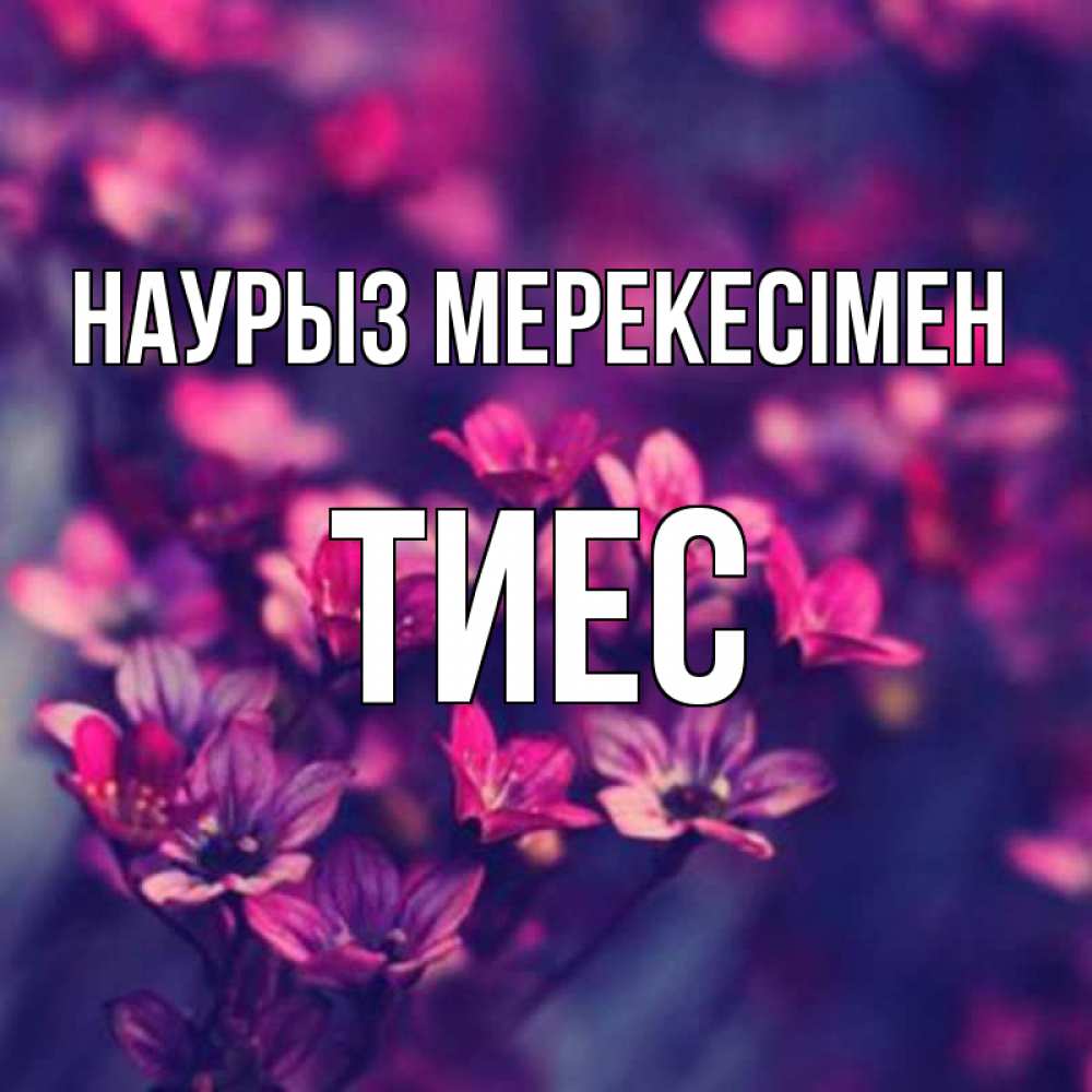 Күн сайын ашық хат с именем, ТИЕС Наурыз мерекесімен небольшие цветы 1 Онлайн тегін жүктеп алу тілектері бар керемет карта 