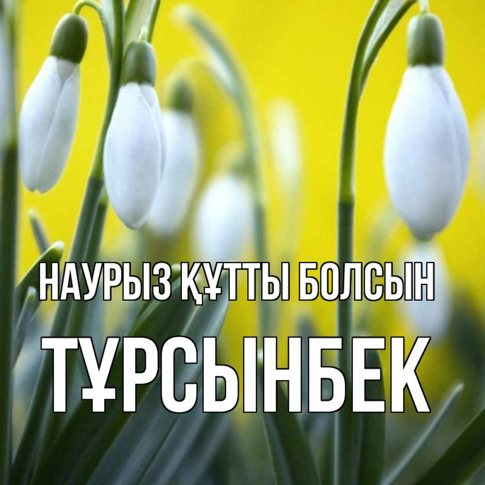 Күн сайын ашық хат с именем, ТҰРСЫНБЕК Наурыз құтты болсын весенние цветы Онлайн тегін жүктеп алу тілектері бар керемет карта 