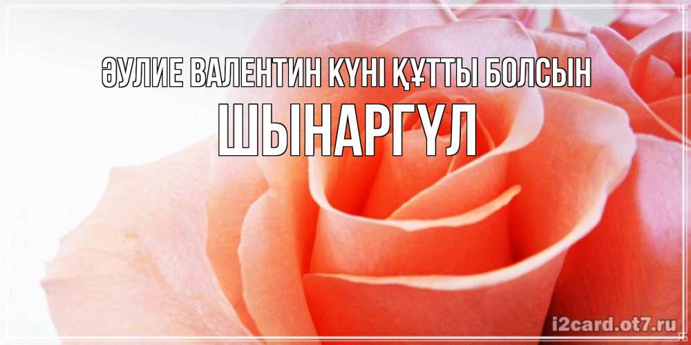 Күн сайын ашық хат с именем, ШЫНАРГҮЛ Әулие Валентин күні құтты болсын открытка на день Святого Валентина с розовой розой Онлайн тегін жүктеп алу тілектері бар керемет карта 