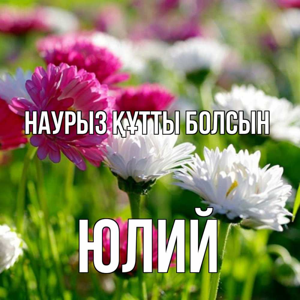 Күн сайын ашық хат с именем, Юлий Наурыз құтты болсын наурыз Онлайн тегін жүктеп алу тілектері бар керемет карта 