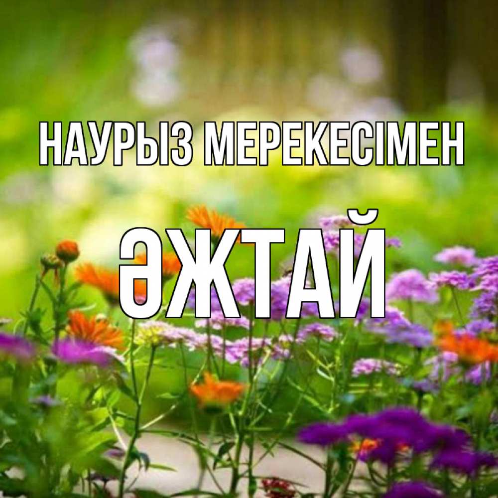 Күн сайын ашық хат с именем, Әжтай Наурыз мерекесімен цветы Онлайн тегін жүктеп алу тілектері бар керемет карта 