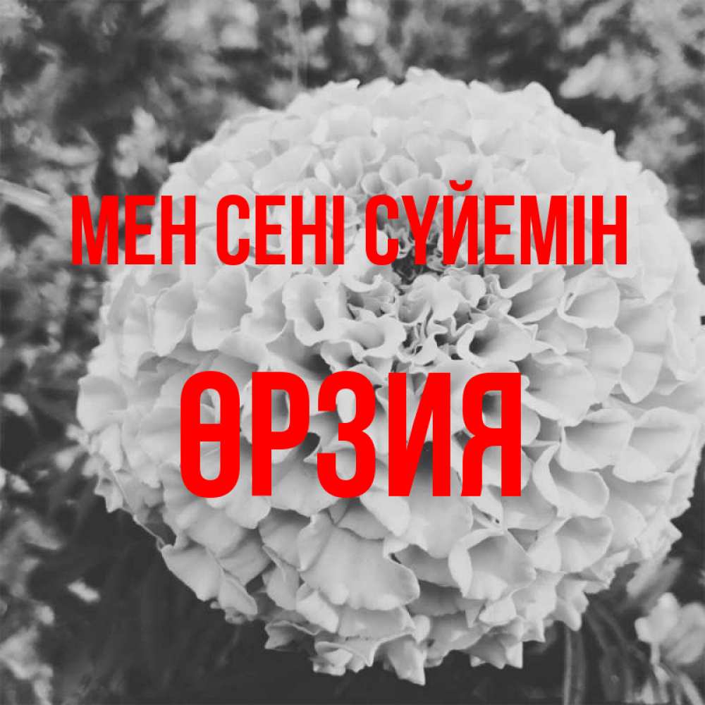Күн сайын ашық хат с именем, ӨРЗИЯ Мен сені сүйемін подпись Онлайн тегін жүктеп алу тілектері бар керемет карта 