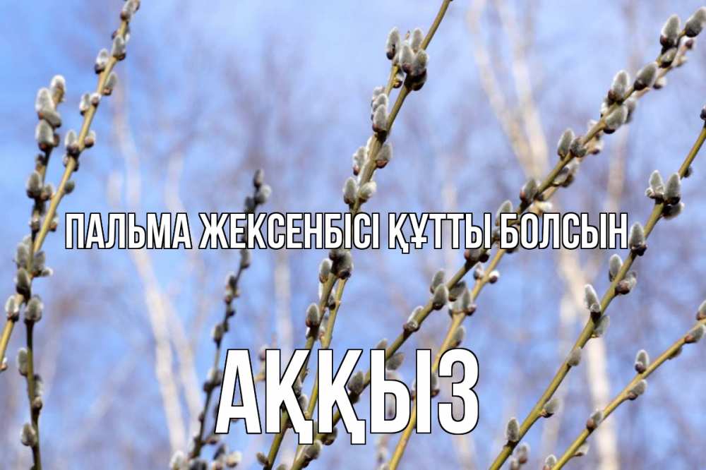 Күн сайын ашық хат с именем, АҚҚЫЗ Пальма жексенбісі құтты болсын верба Онлайн тегін жүктеп алу тілектері бар керемет карта 