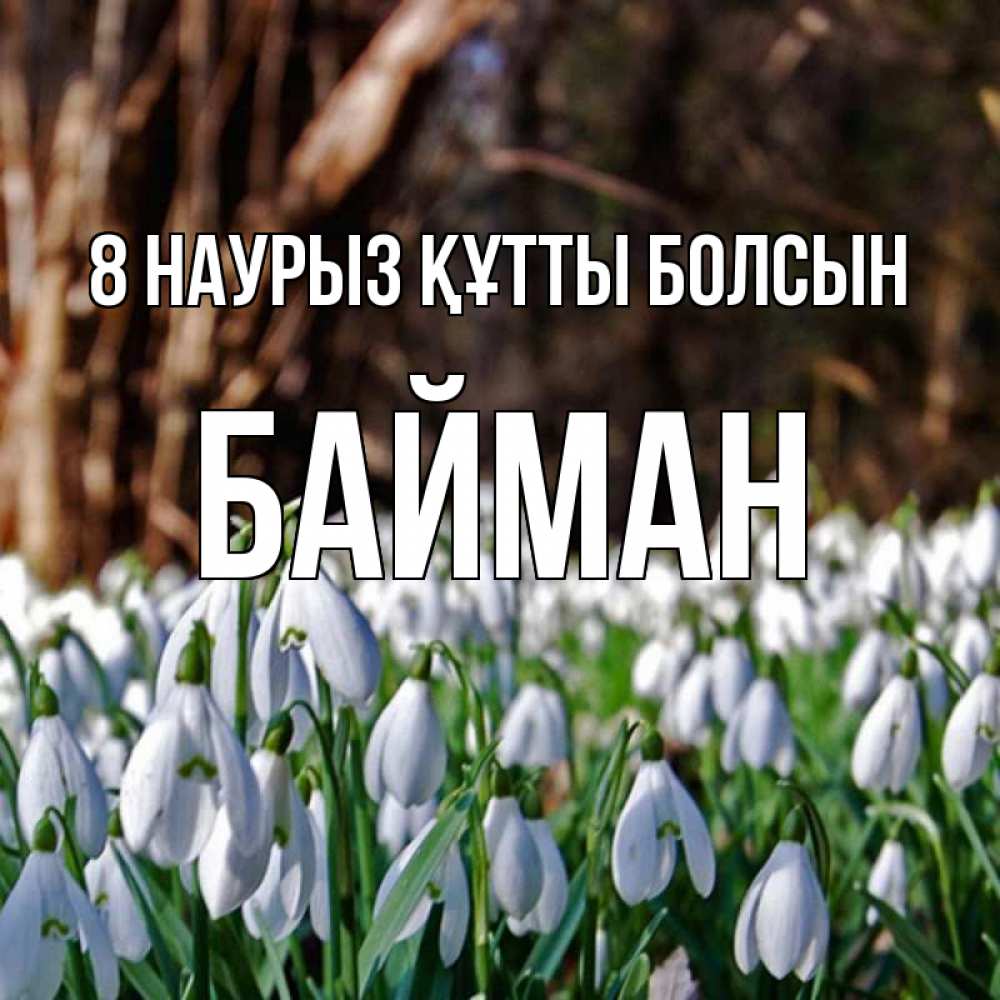Күн сайын ашық хат с именем, Байман 8 наурыз құтты болсын с подснежниками 1 Онлайн тегін жүктеп алу тілектері бар керемет карта 