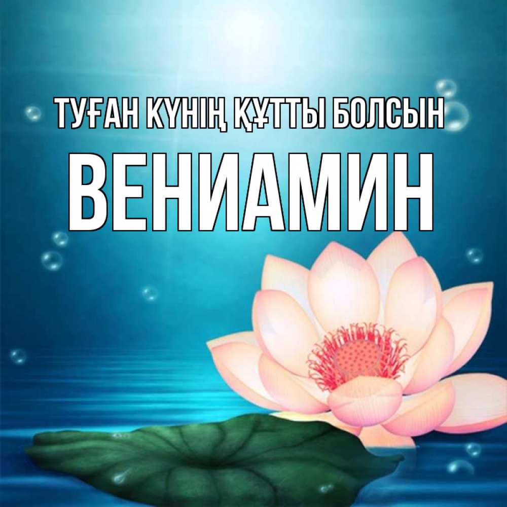 Күн сайын ашық хат с именем, Вениамин Туған күнің құтты болсын кувшинка Онлайн тегін жүктеп алу тілектері бар керемет карта 