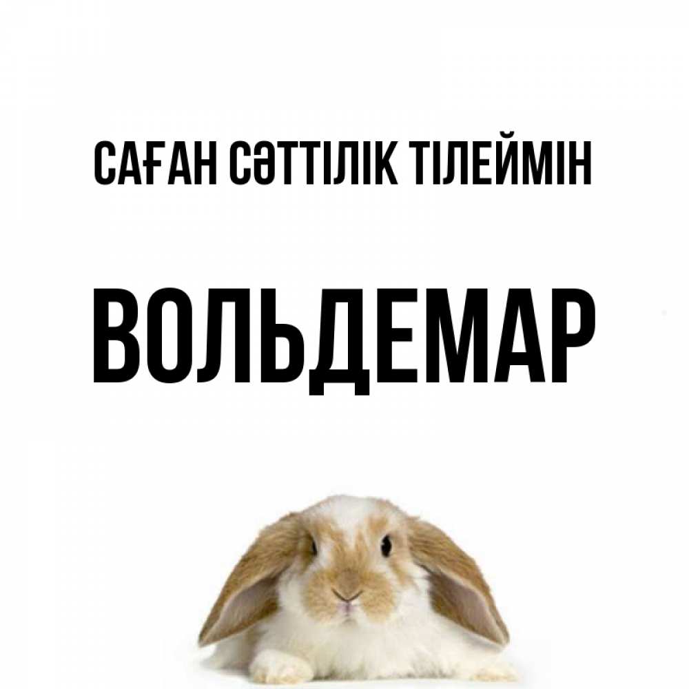 Күн сайын ашық хат с именем, Вольдемар Саған сәттілік тілеймін открытки с произвольным текстом который можно вставить в открытку и создать ее самостоятельно бесплатно онлайн Онлайн тегін жүктеп алу тілектері бар керемет карта 
