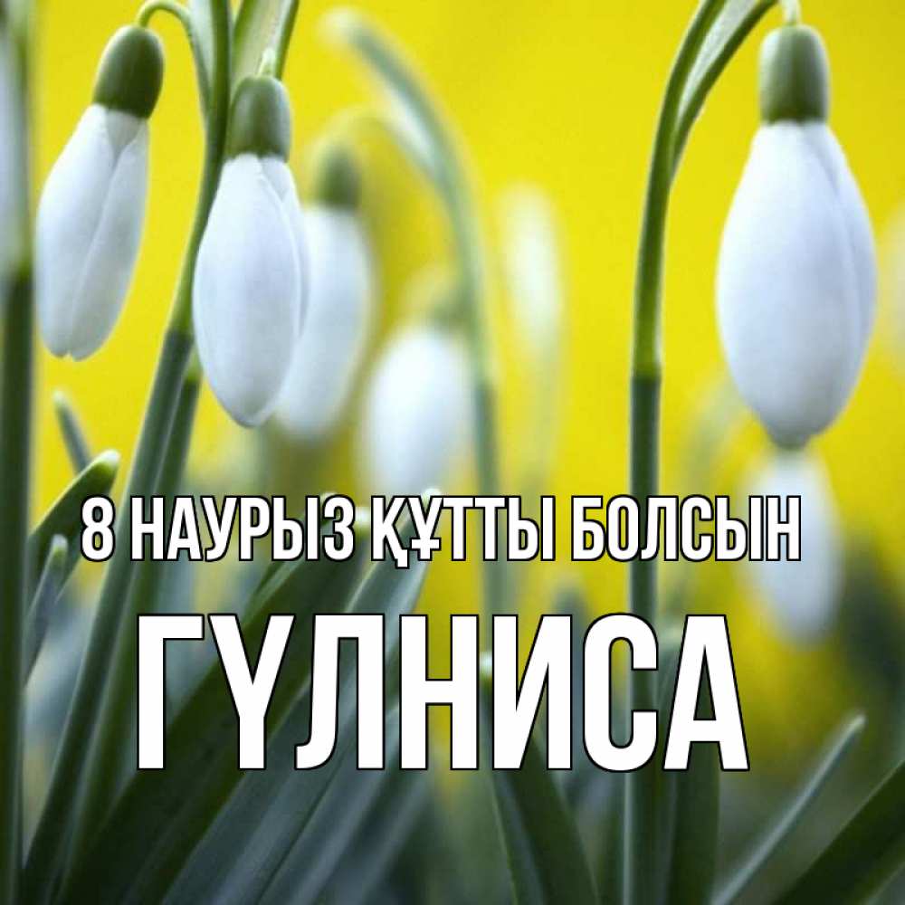 Күн сайын ашық хат с именем, ГҮЛНИСА 8 наурыз құтты болсын весенние цветы Онлайн тегін жүктеп алу тілектері бар керемет карта 