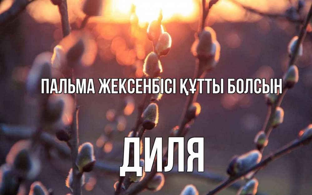 Күн сайын ашық хат с именем, Диля Пальма жексенбісі құтты болсын верба Онлайн тегін жүктеп алу тілектері бар керемет карта 