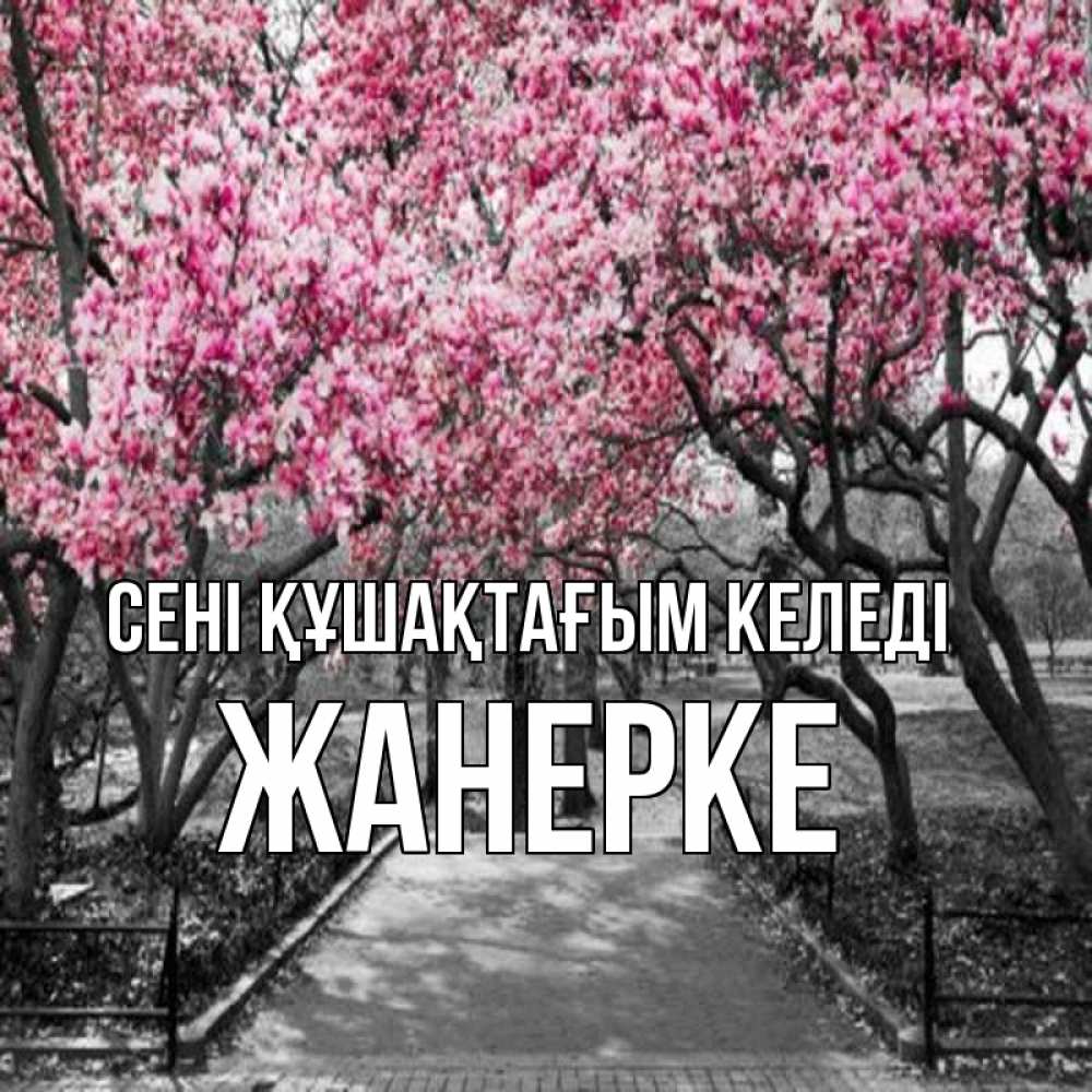 Күн сайын ашық хат с именем, ЖАНЕРКЕ сені құшақтағым келеді обработанное фото Онлайн тегін жүктеп алу тілектері бар керемет карта 