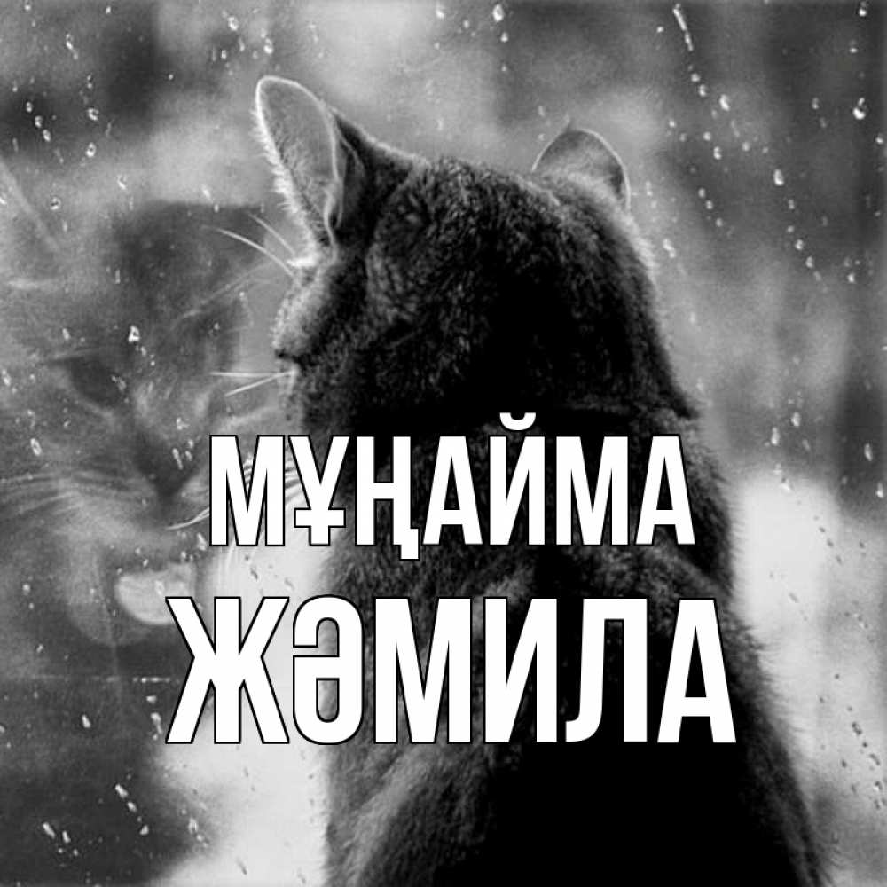 Күн сайын ашық хат с именем, ЖӘМИЛА Мұңайма отражение кота 1 Онлайн тегін жүктеп алу тілектері бар керемет карта 