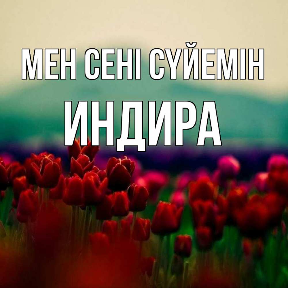 Күн сайын ашық хат с именем, ИНДИРА Мен сені сүйемін тюльпаны 4 Онлайн тегін жүктеп алу тілектері бар керемет карта 