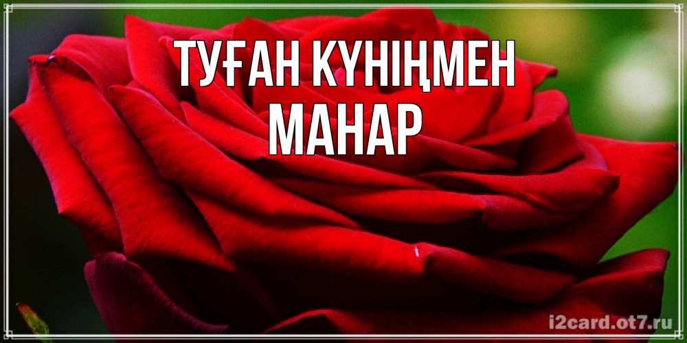 Күн сайын ашық хат с именем, МАНАР Туған күніңмен розочка очень красивая Онлайн тегін жүктеп алу тілектері бар керемет карта 