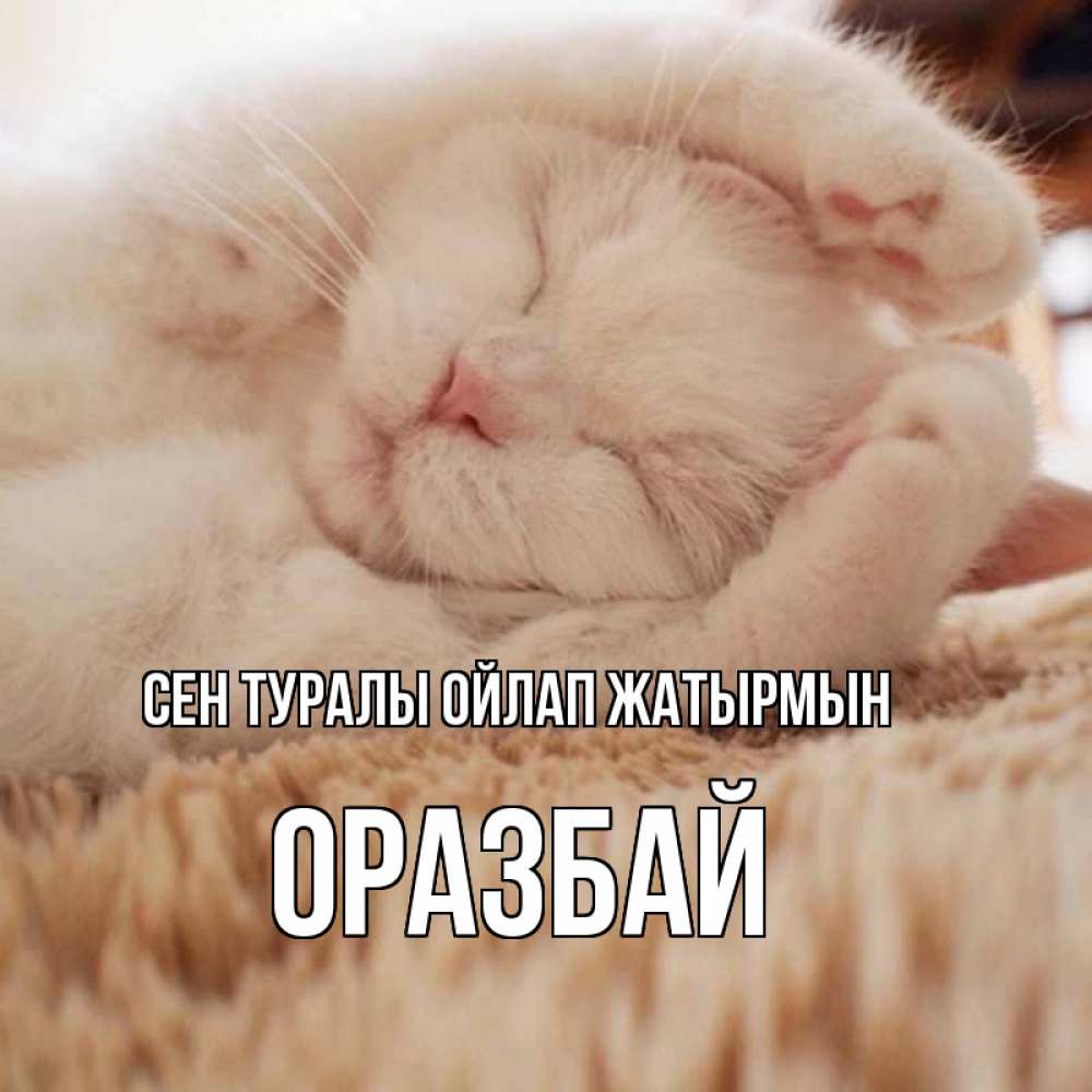 Күн сайын ашық хат с именем, ОРАЗБАЙ Сен туралы ойлап жатырмын для любимой девушки милота Онлайн тегін жүктеп алу тілектері бар керемет карта 