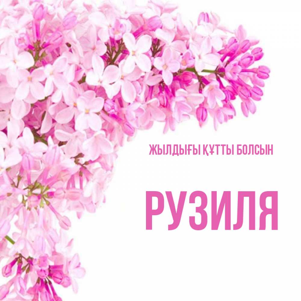 Күн сайын ашық хат с именем, Рузиля Жылдығы құтты болсын Сирень на белом фоне Онлайн тегін жүктеп алу тілектері бар керемет карта 