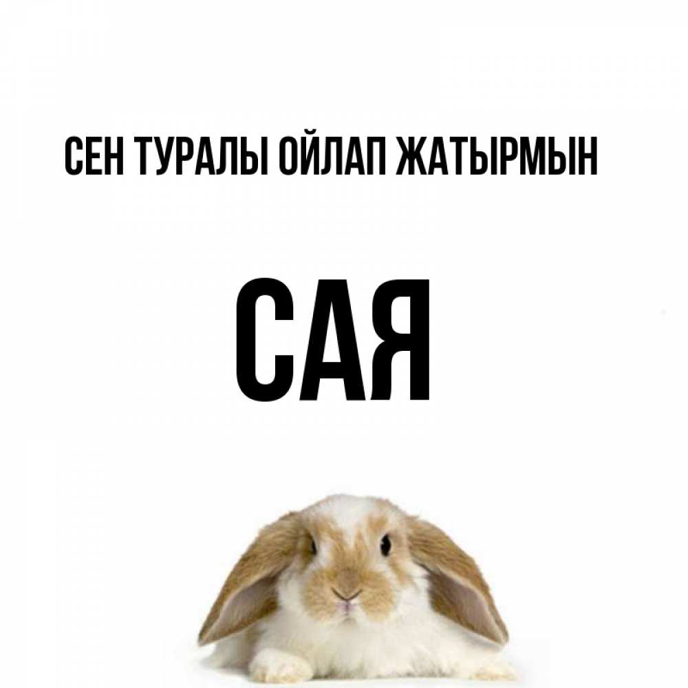Күн сайын ашық хат с именем, САЯ Сен туралы ойлап жатырмын подписать своими руками онлайн Онлайн тегін жүктеп алу тілектері бар керемет карта 