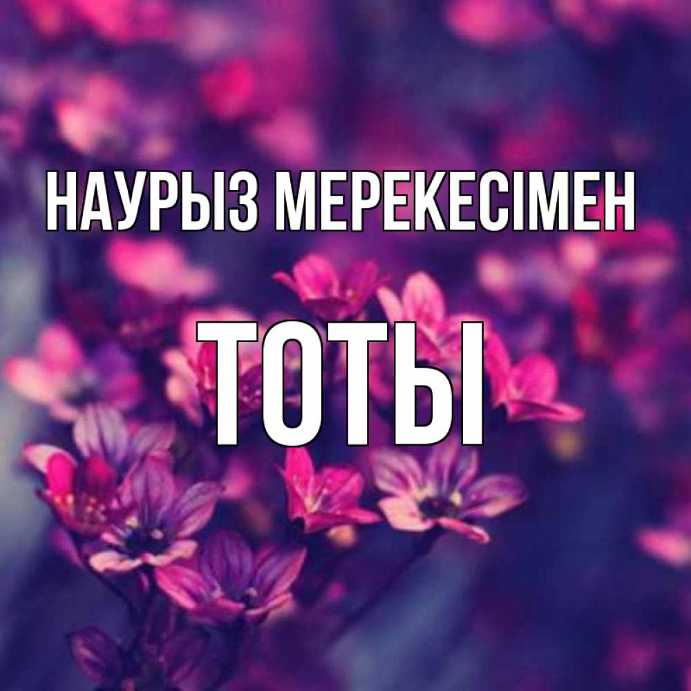Күн сайын ашық хат с именем, ТОТЫ Наурыз мерекесімен небольшие цветы 1 Онлайн тегін жүктеп алу тілектері бар керемет карта 