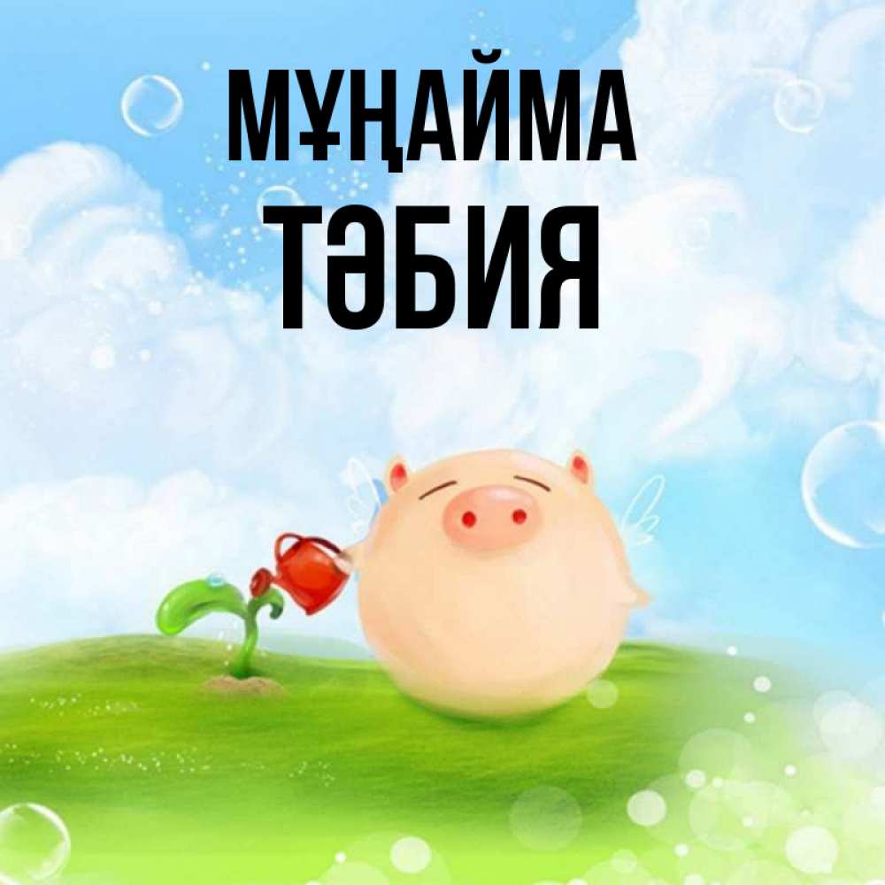 Күн сайын ашық хат с именем, ТӘБИЯ Мұңайма поливает цветок порося Онлайн тегін жүктеп алу тілектері бар керемет карта 