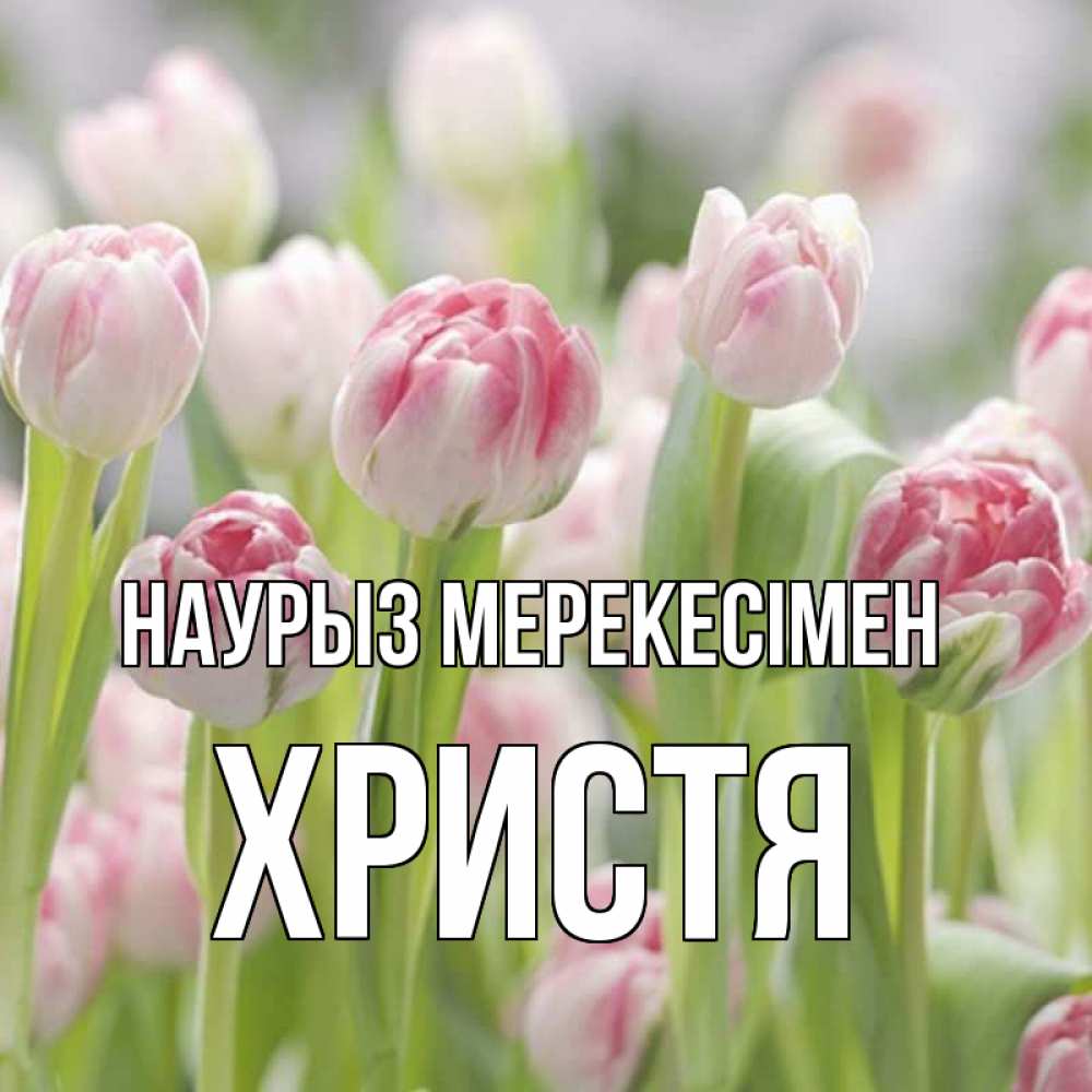 Күн сайын ашық хат с именем, Христя Наурыз мерекесімен цветы Онлайн тегін жүктеп алу тілектері бар керемет карта 