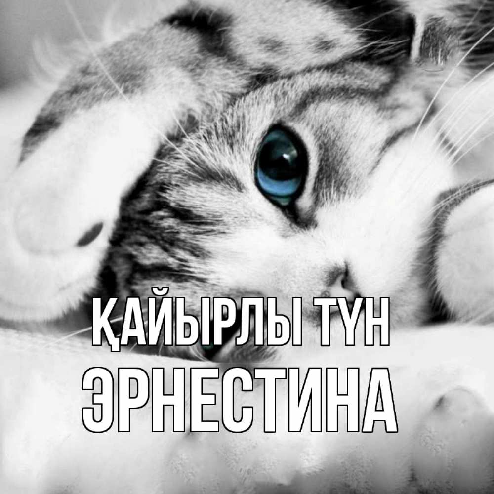 Күн сайын ашық хат с именем, Эрнестина Қайырлы түн кот устал Онлайн тегін жүктеп алу тілектері бар керемет карта 