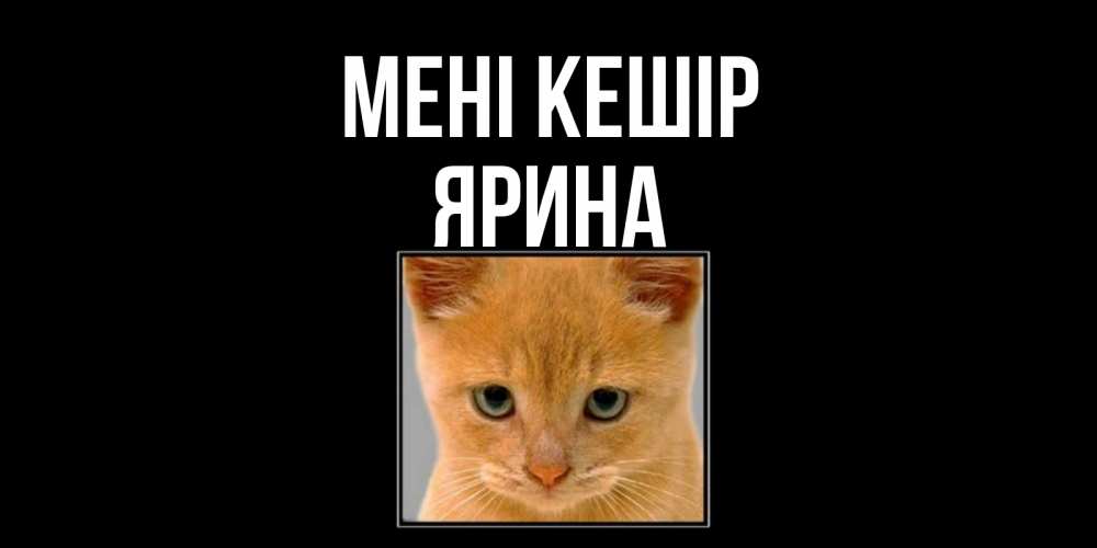 Күн сайын ашық хат с именем, Ярина Мені кешір рыжий грустный кот просит прощения Онлайн тегін жүктеп алу тілектері бар керемет карта 
